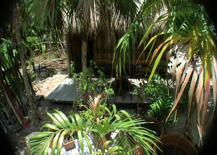 Maya Y Cenote Hotel Tulum