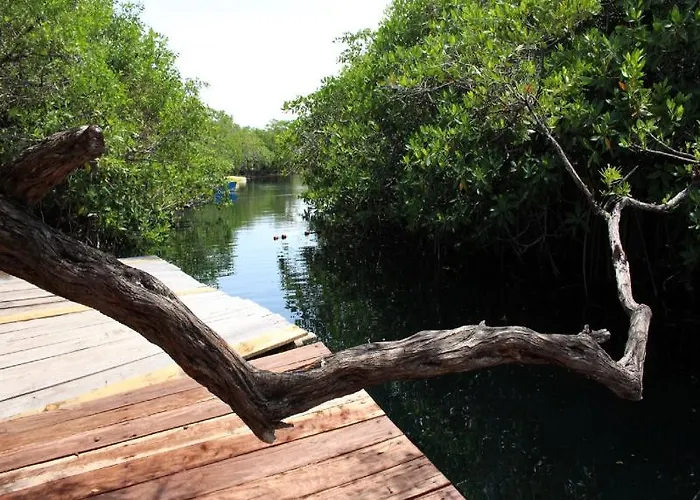 Hotel Maya Y Cenote 2*