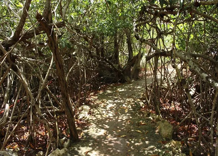 Maya Y Cenote 2* Tulum