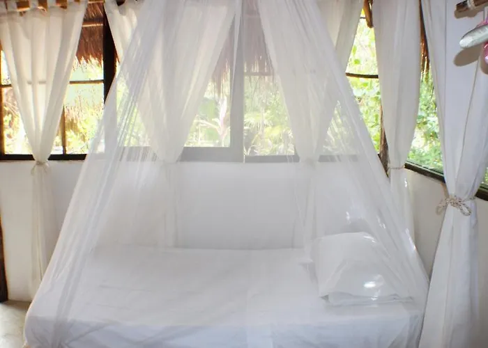 Hotel Maya Y Cenote