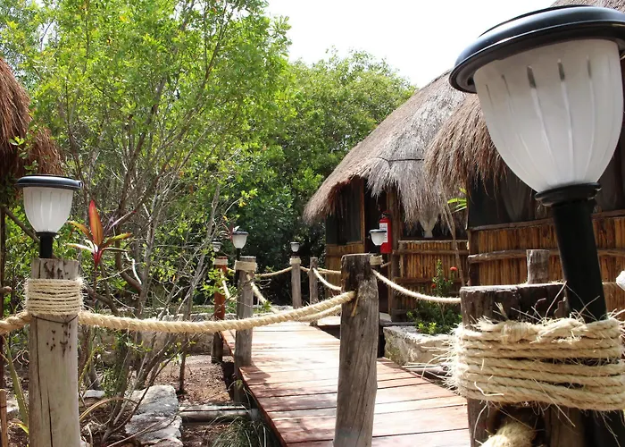Maya Y Cenote