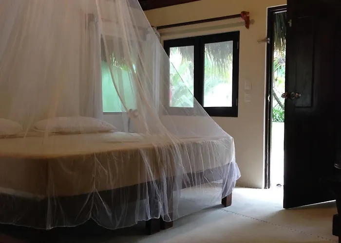 Hotel Maya Y Cenote
