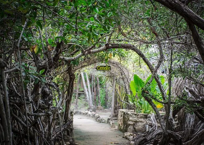 Maya Y Cenote Hotel Tulum