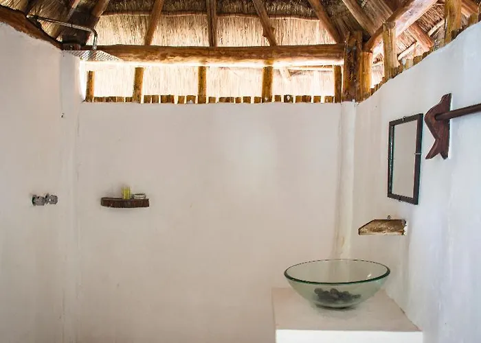 Maya Y Cenote