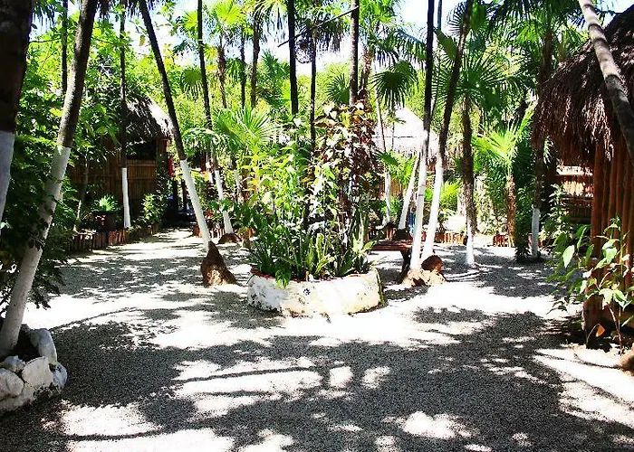 Maya Y Cenote Hotel Tulum