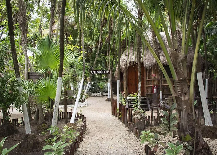 Maya Y Cenote 2*